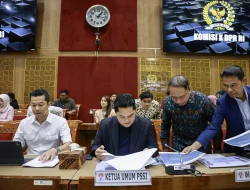 Komisi X DPR RI Setujui Naturalisasi Tiga Pemain untuk Perkuat Timnas Indonesia