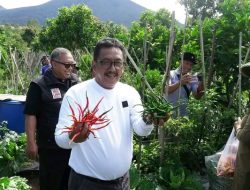 Bupati Sukabumi Menanam Pohon di Desa Sudajaya Girang, Peringati Hari Bumi Sedunia